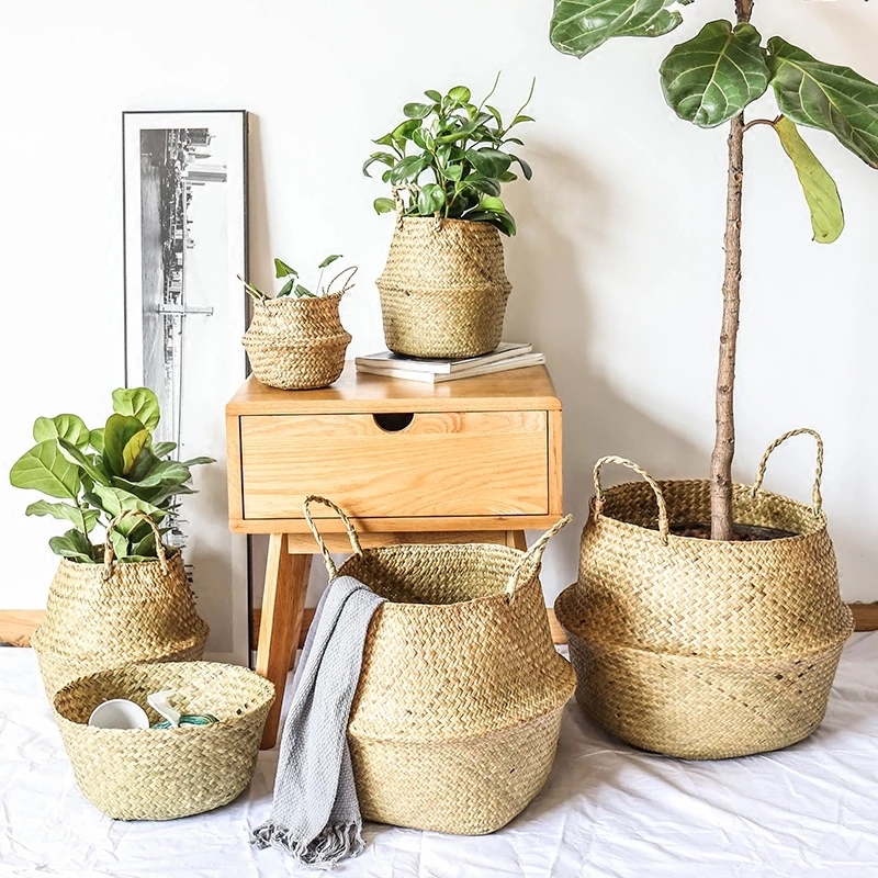 Zerolife Deniz Yosunu Hasır Se - Baby Products Basket incelemesi ve fiyatı